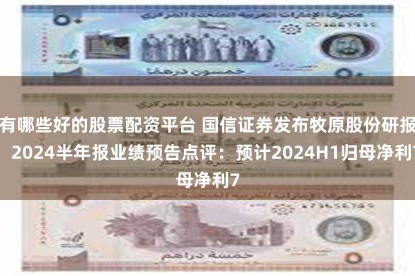 有哪些好的股票配资平台 国信证券发布牧原股份研报，2024半年报业绩预告点评：预计2024H1归母净利7