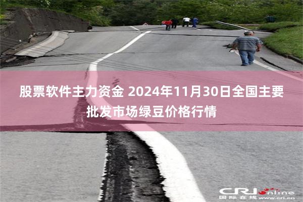 股票软件主力资金 2024年11月30日全国主要批发市场绿豆价格行情