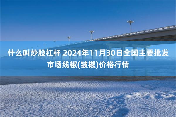 什么叫炒股杠杆 2024年11月30日全国主要批发市场线椒(皱椒)价格行情