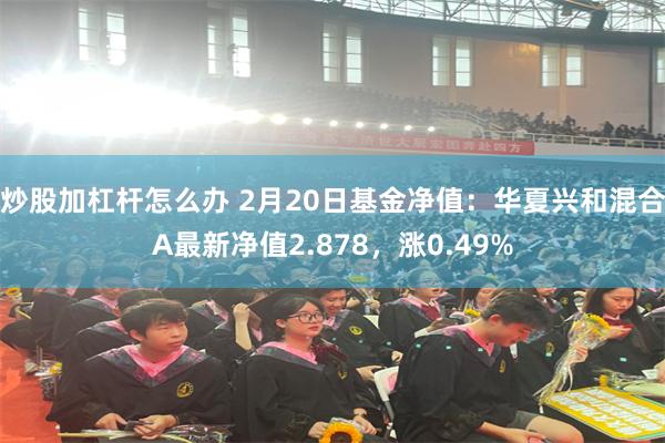 炒股加杠杆怎么办 2月20日基金净值：华夏兴和混合A最新净值2.878，涨0.49%