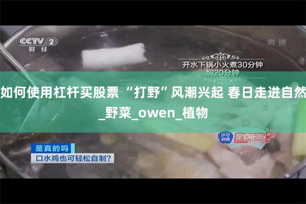 如何使用杠杆买股票 “打野”风潮兴起 春日走进自然_野菜_owen_植物