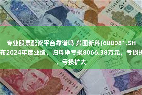 专业股票配资平台靠谱吗 兴图新科(688081.SH)发布2024年度业绩，归母净亏损8066.38万元，亏损扩大