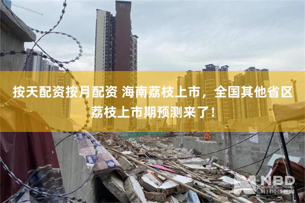 按天配资按月配资 海南荔枝上市，全国其他省区荔枝上市期预测来了！