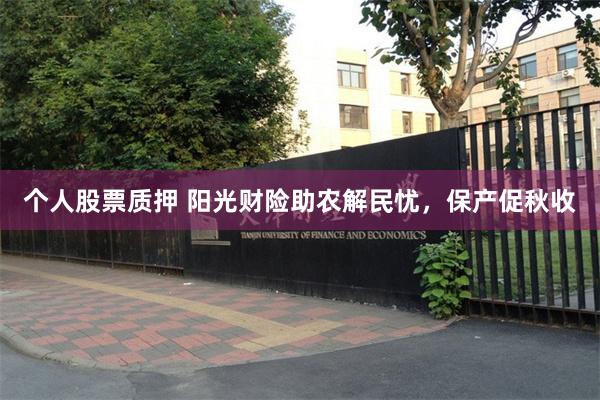 个人股票质押 阳光财险助农解民忧，保产促秋收