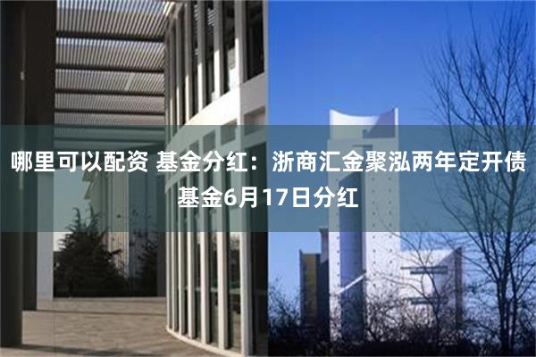 哪里可以配资 基金分红：浙商汇金聚泓两年定开债基金6月17日分红
