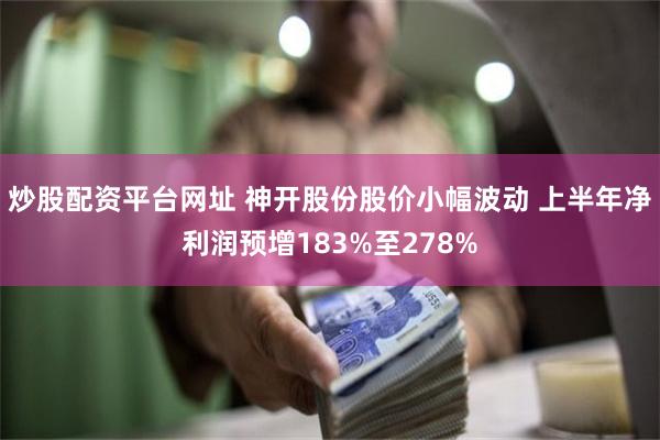 炒股配资平台网址 神开股份股价小幅波动 上半年净利润预增183%至278%