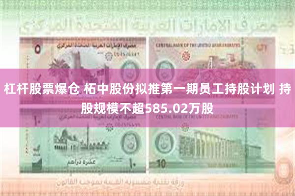 杠杆股票爆仓 柘中股份拟推第一期员工持股计划 持股规模不超585.02万股